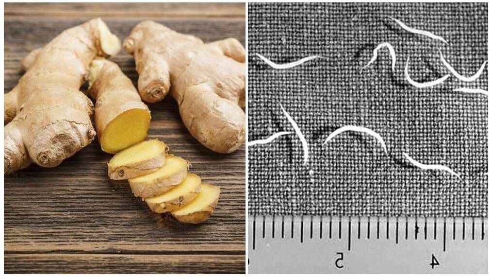 Ginger vs parasites