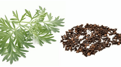 Cloves and wormwood to eliminate parasites from the body